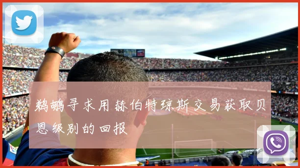 鹈鹕寻求用赫伯特琼斯交易获取贝恩级别的回报