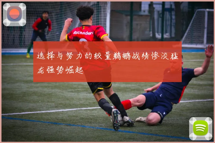 选择与努力的较量鹈鹕战绩惨淡猛龙强势崛起