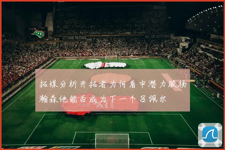 拓媒分析开拓者为何看中潜力股杨瀚森他能否成为下一个吕佩尔