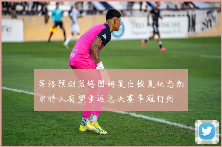蒂格预测若塔图姆复出恢复状态凯尔特人有望重返总决赛争冠行列
